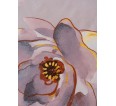 Ассоль КПБ поплин - small5
