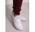  - small13