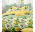 Постельное белье поплин люкс - Аглая - small