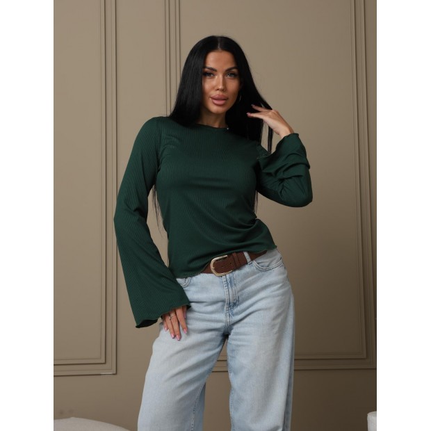 Лонгслив мод.2028/4